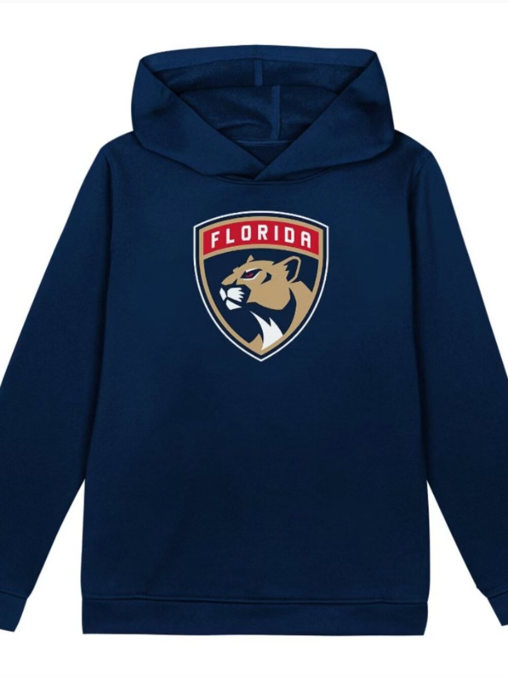 NHL 12M Toddler Boys Hooded Sweatshirt Florida Panthers Logo Pullover Navy